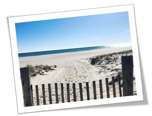 LBI Oceanfront Homes | Waterfront Homes | LBI Real Estate